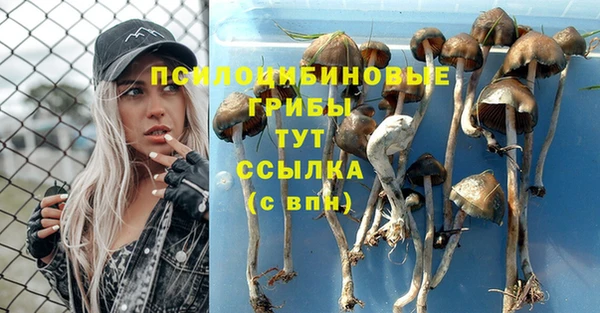 прущий лед Алексеевка