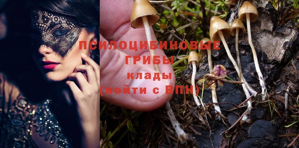 прущий лед Алексеевка