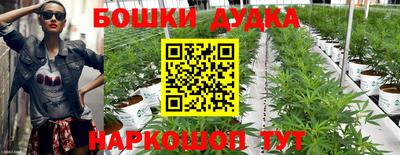 хмурый Обь