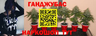 хмурый Обь