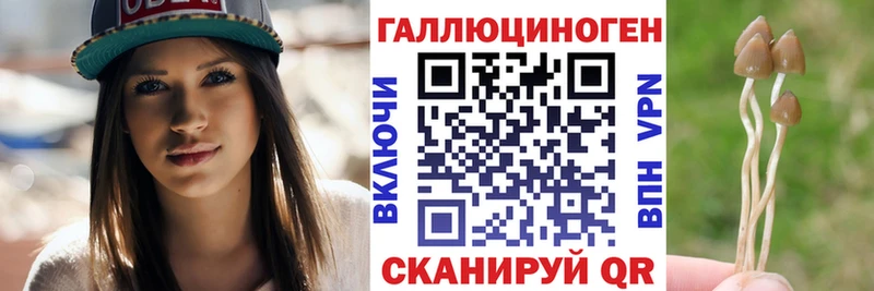 Галлюциногенные грибы MAGIC MUSHROOMS  где можно купить наркотик  Ярцево 